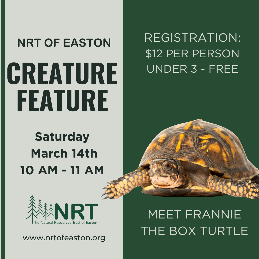Creature Feature: Meet Frannie
