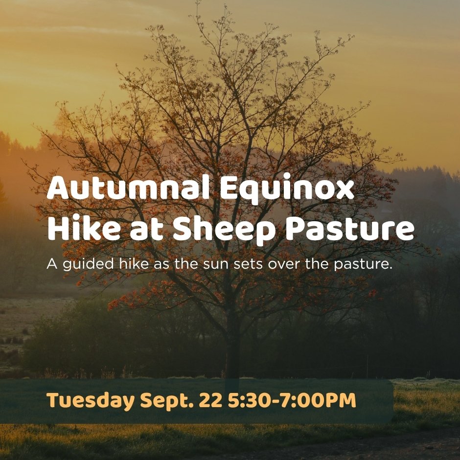 NRT_autumnal equinox hike_website.jpg