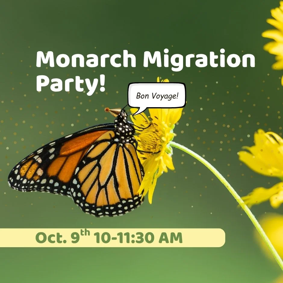 NRT_Monarch Migration_website product.jpg