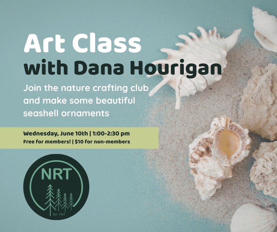 Art Class with Dana Hourigan: Adult Nature Crafting Club