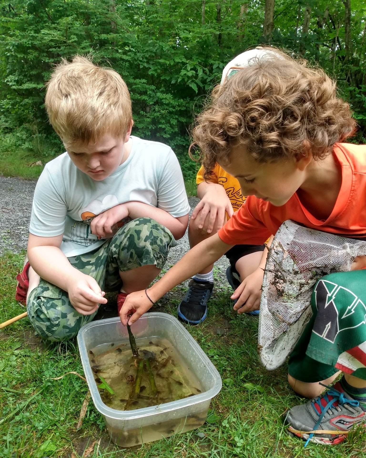 Session 3 | July 6-10