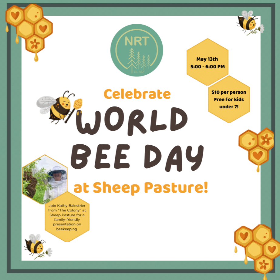 World+Bee+Day_product+image.png