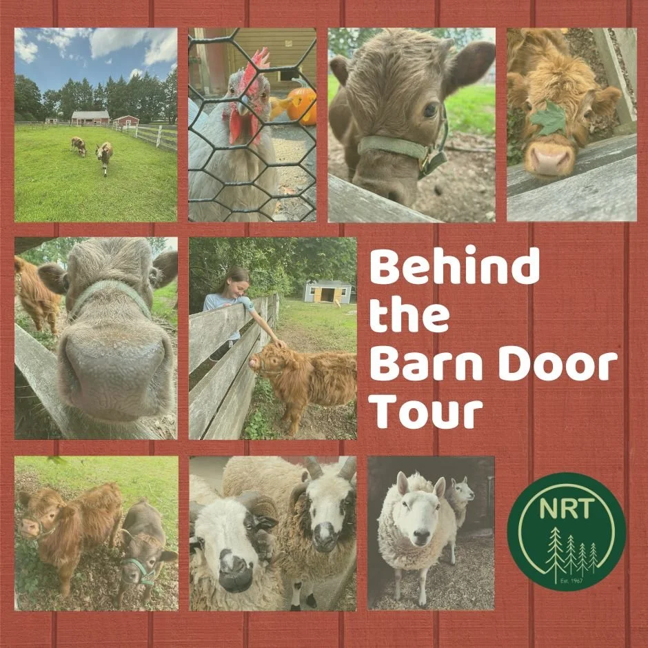 Barn Door_website product.jpg