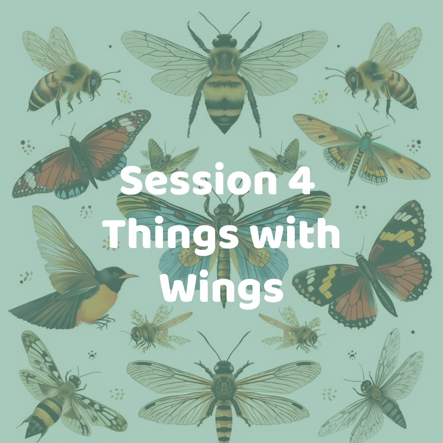 Session 4: Things with Wings | July 13-17