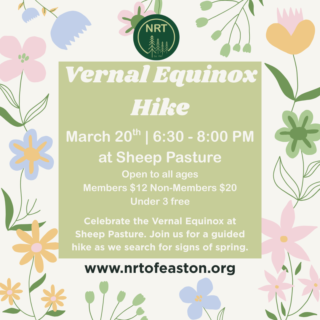 Sheep Pasture After Dark: Vernal Equinox Hike