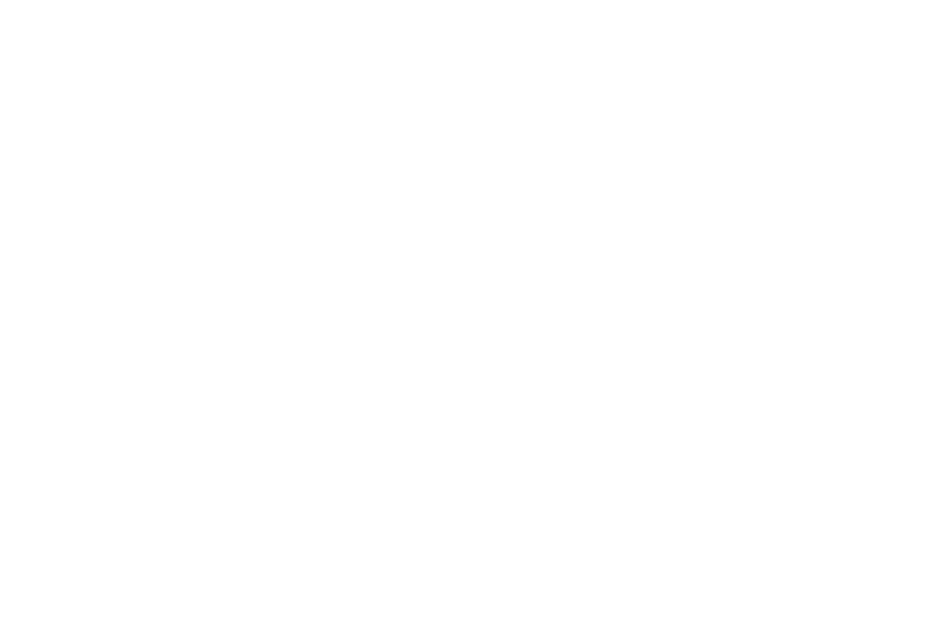 Official Selection DC Shorts International Film Festival 2022