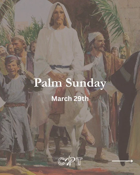 Blessed is He who comes in the name of the Lord. #PalmSunday 🙏