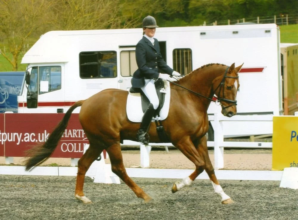A person in equestrian attire riding a brown horse during a dressage event, with a horse trailer in the background.
