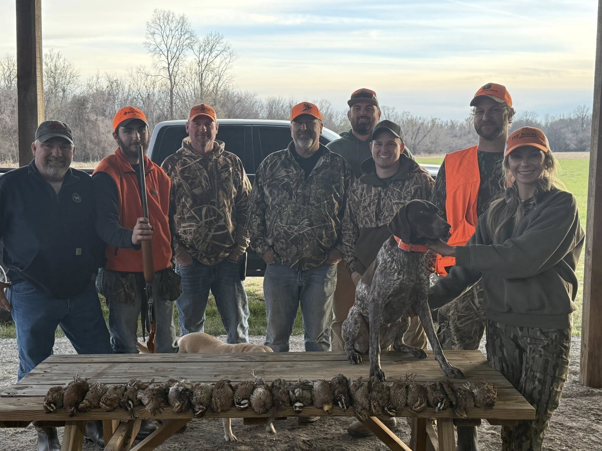 the roost 60.jpg