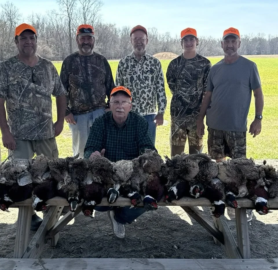 The Roost 9.jpg