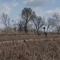 637084705_122142845432986176_3432060683823916406_n.jpg