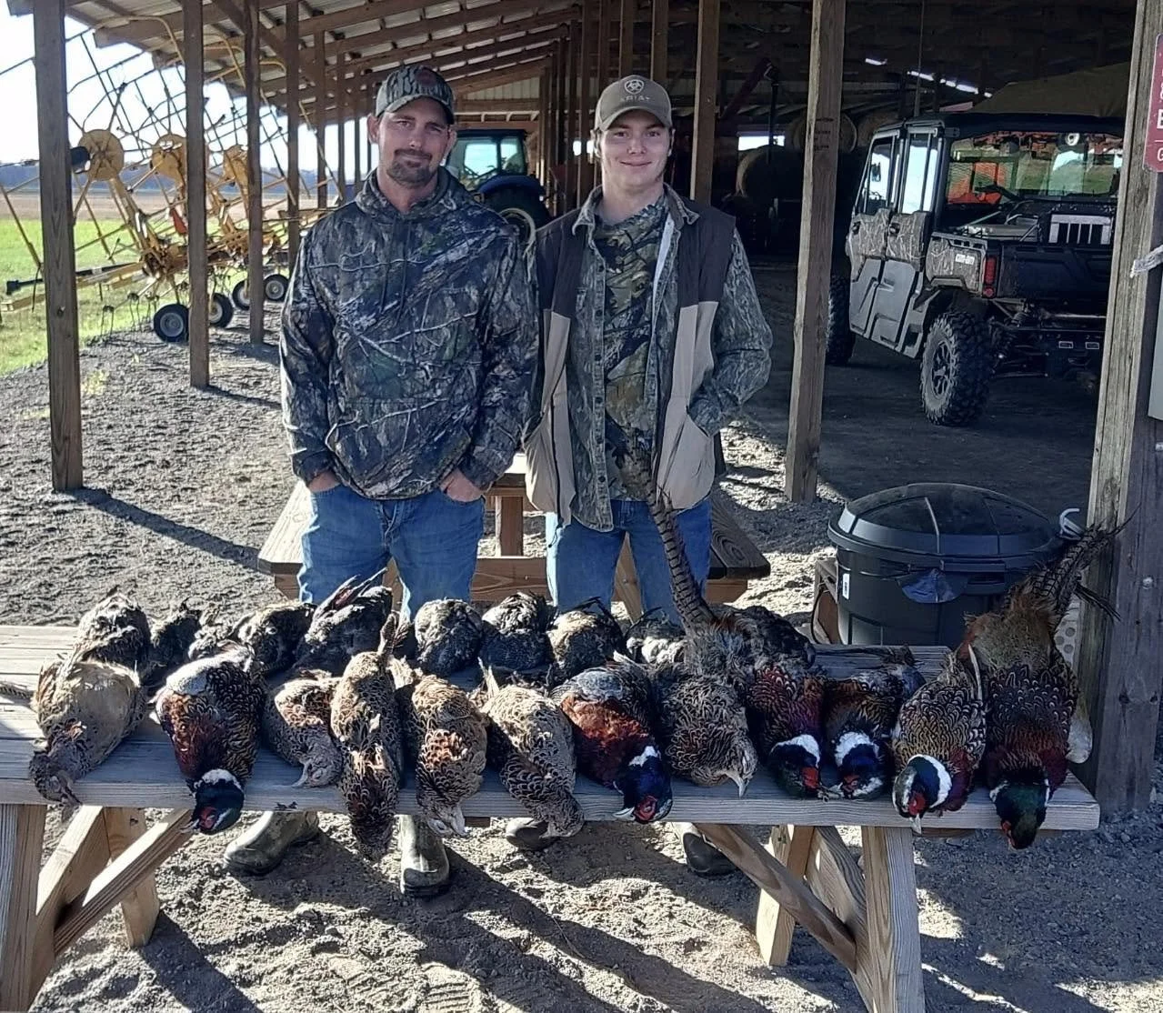 the roost 36.jpg