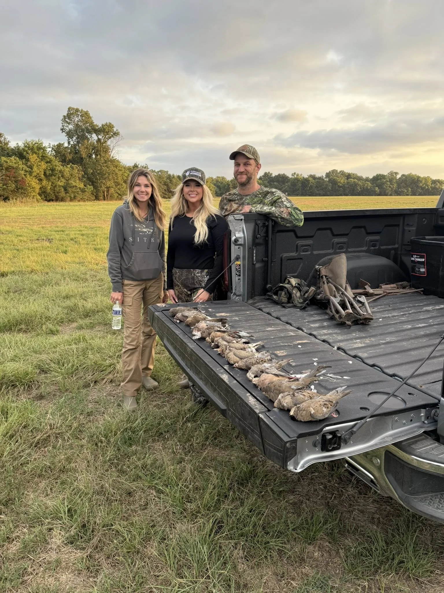 the roost 5500.jpg