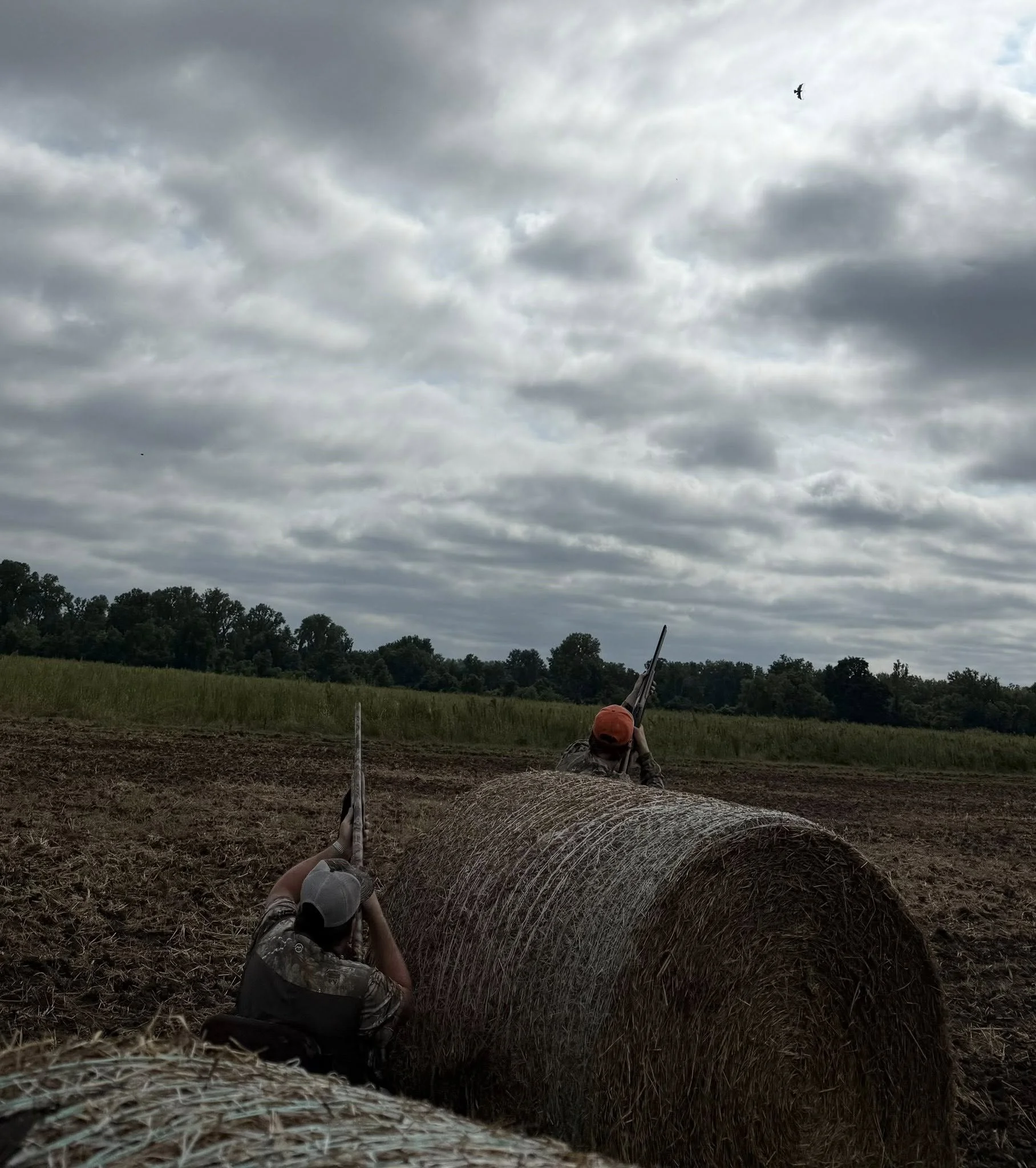 the roost 100.jpg