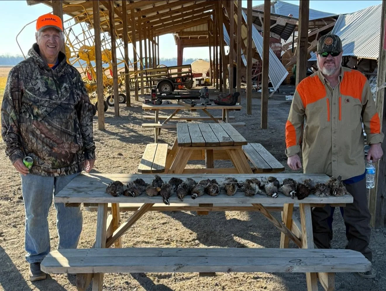 The Roost 26.jpg