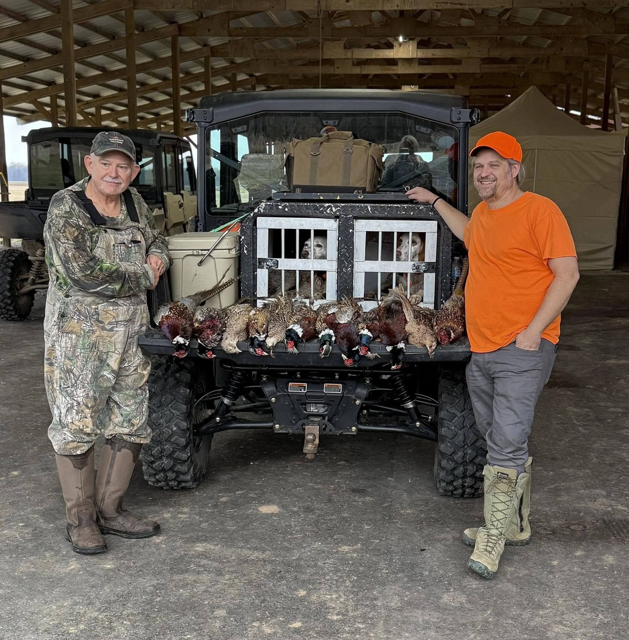 the roost 47.jpg