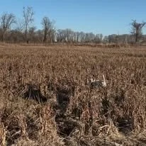 629495785_122140883900986176_2645228008981580781_n.jpg