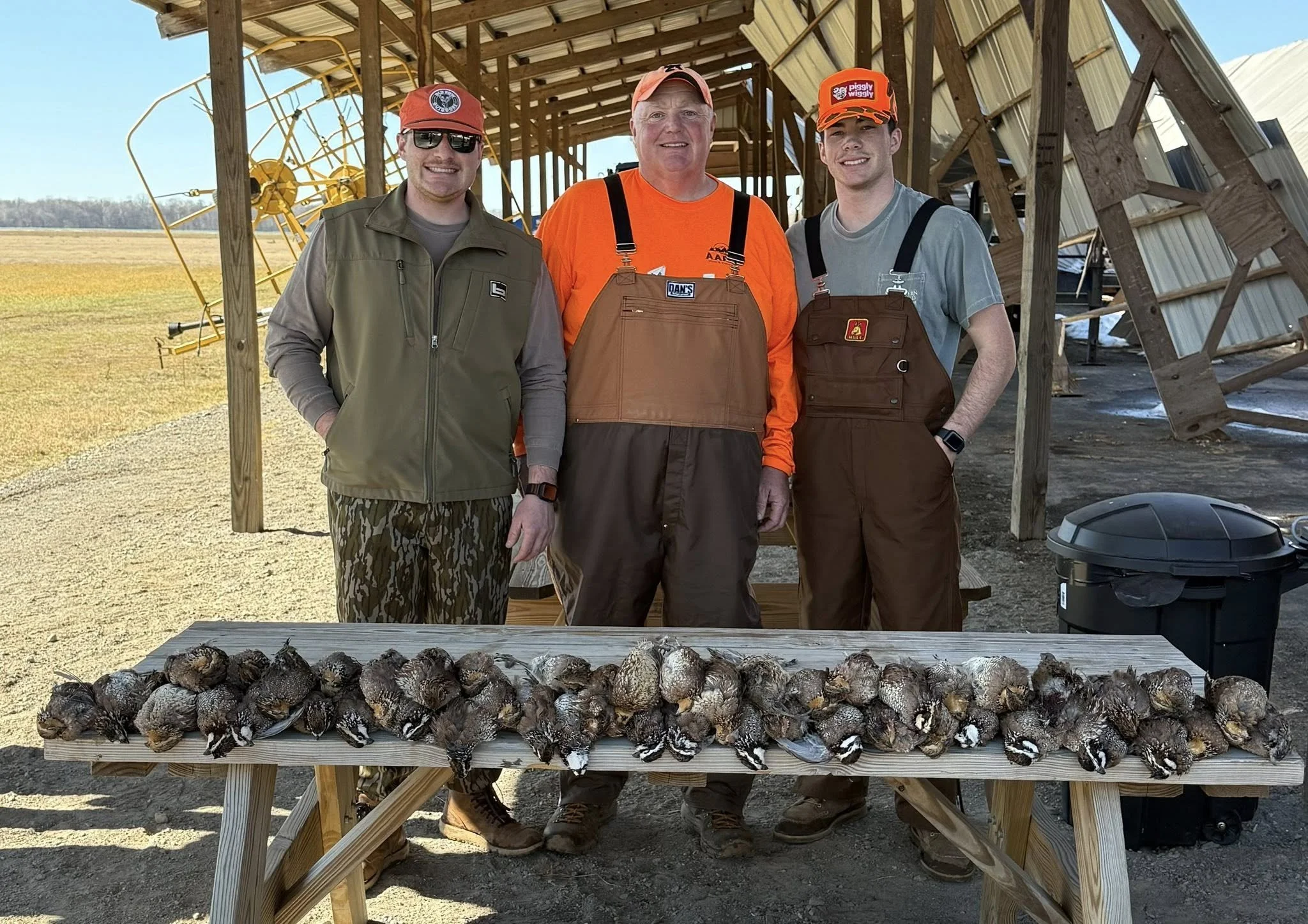 The roost 30.jpg