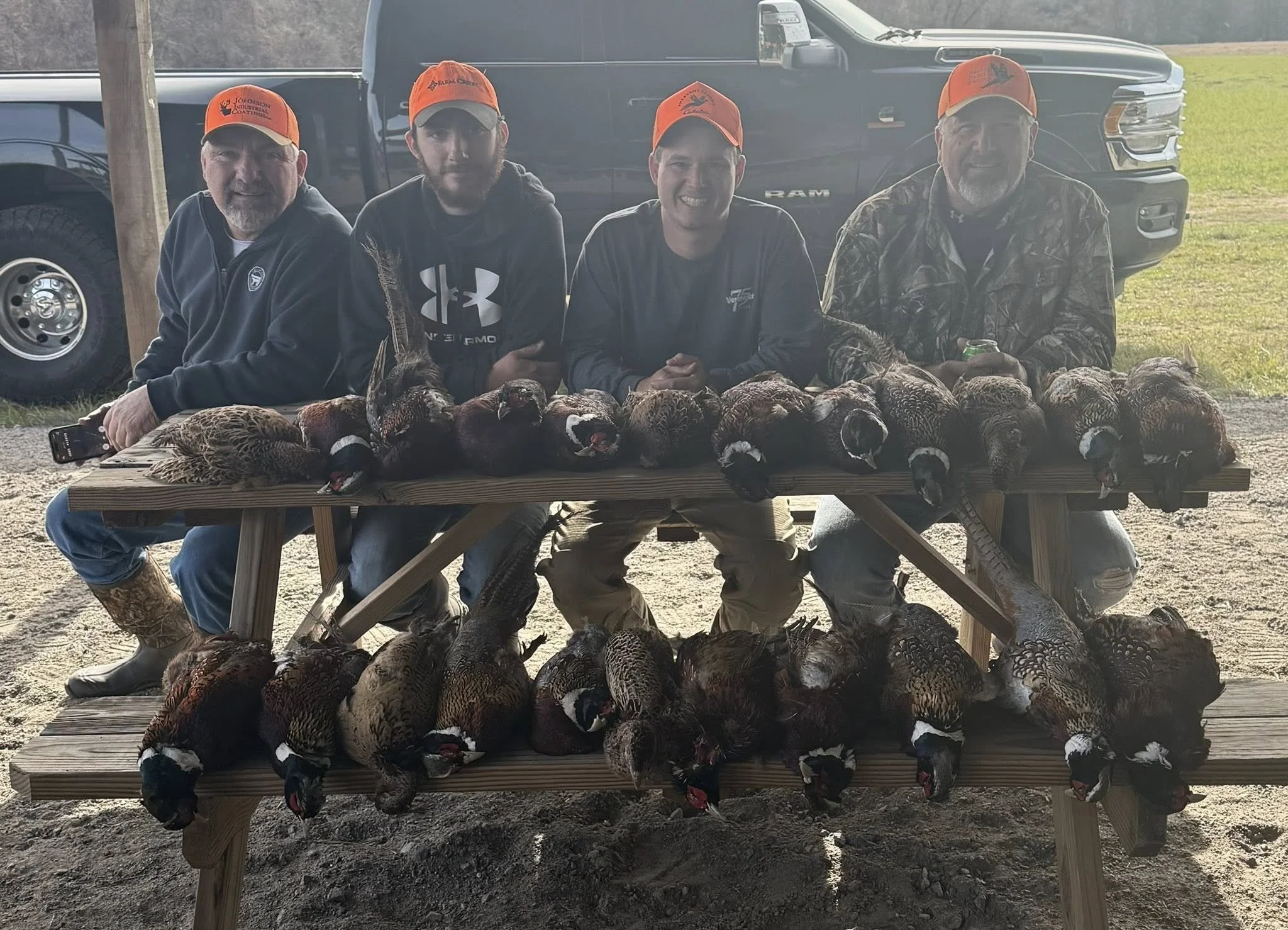 the roost 70.jpg