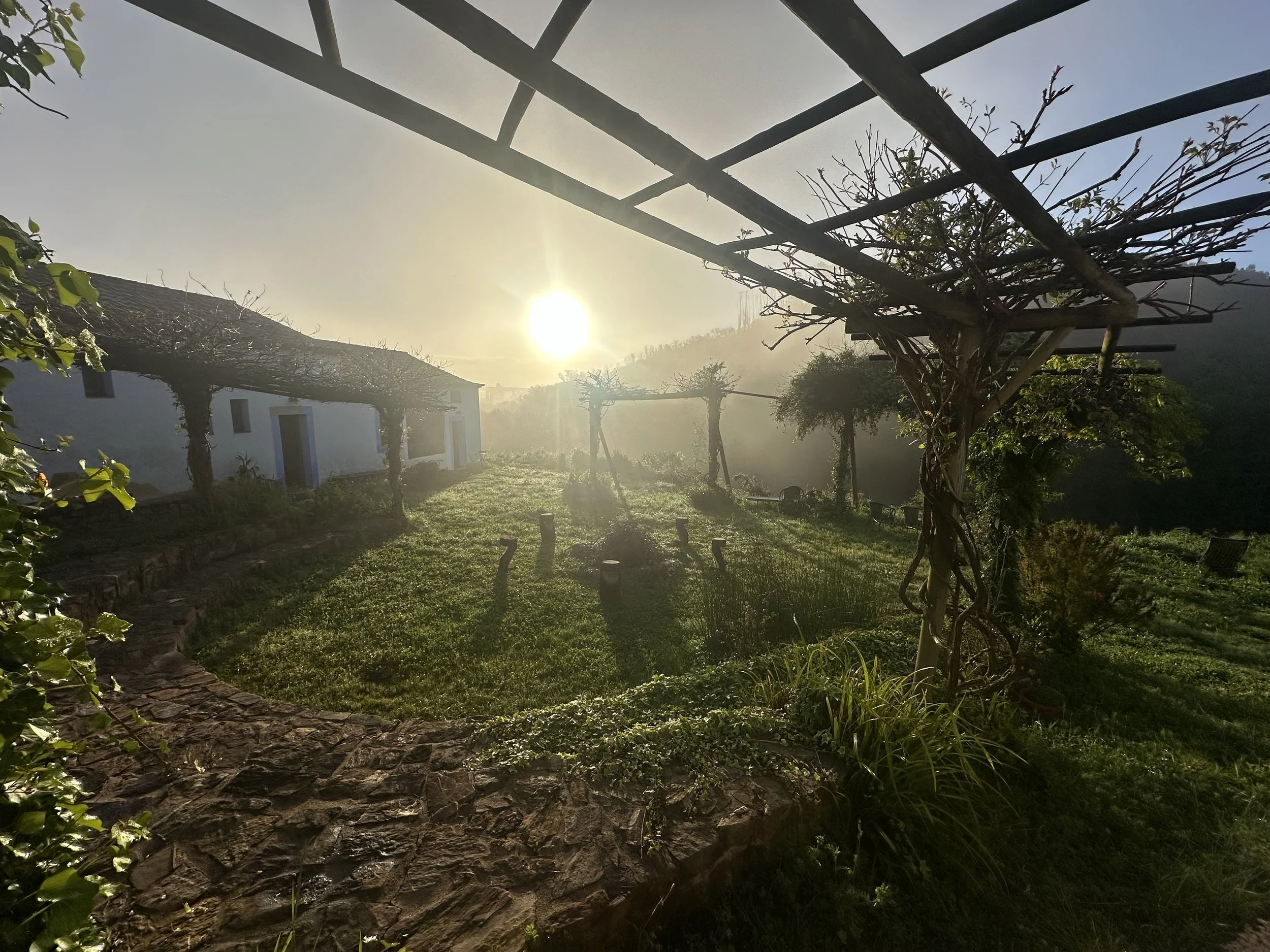 portugal_yoga_retreat.jpeg