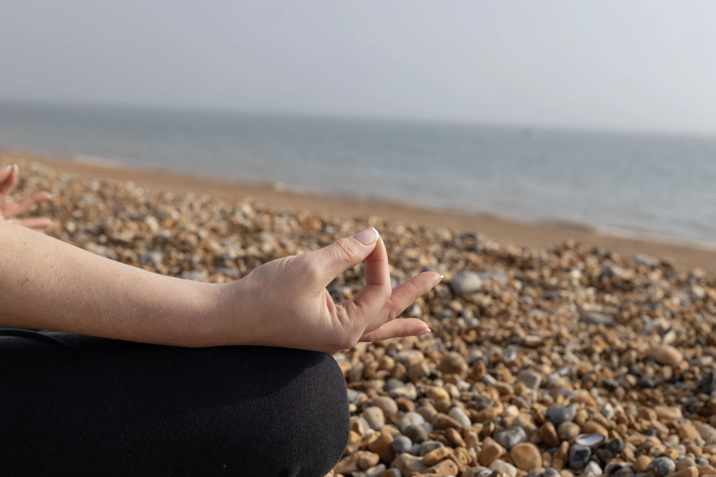 200hr Yoga Teacher Training ~All Welcome