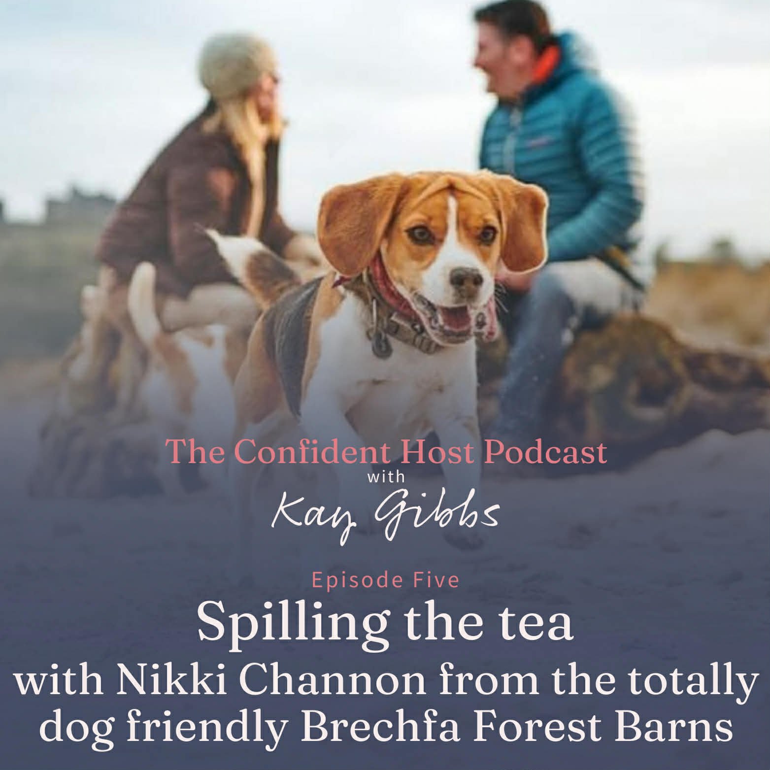 What a Truly Dog-Friendly Host Would Tell You