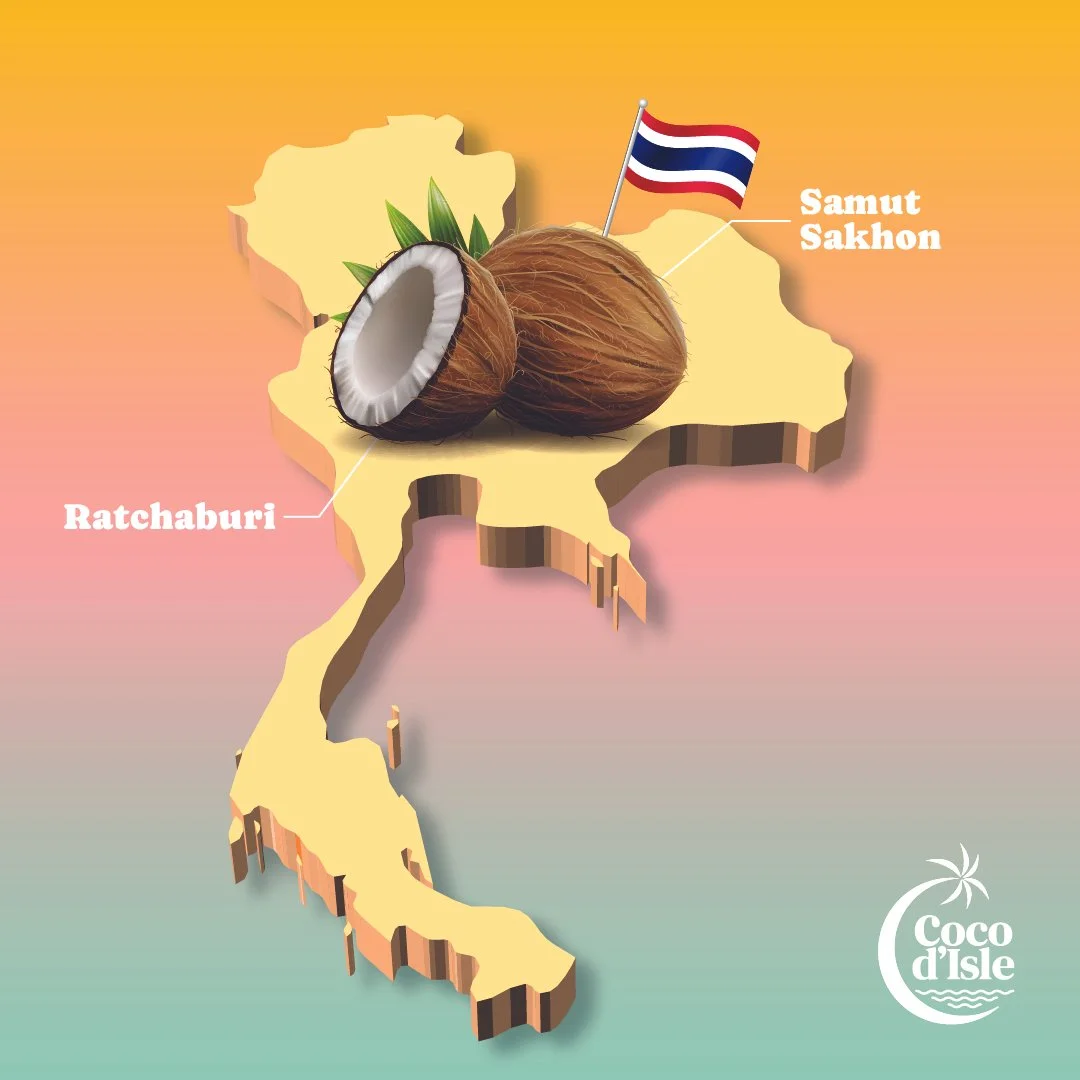 Illustration of Thailand map with coconut and flag, highlighting Ratchaburi and Samut Sakhon with "Coco d'Isle" logo.