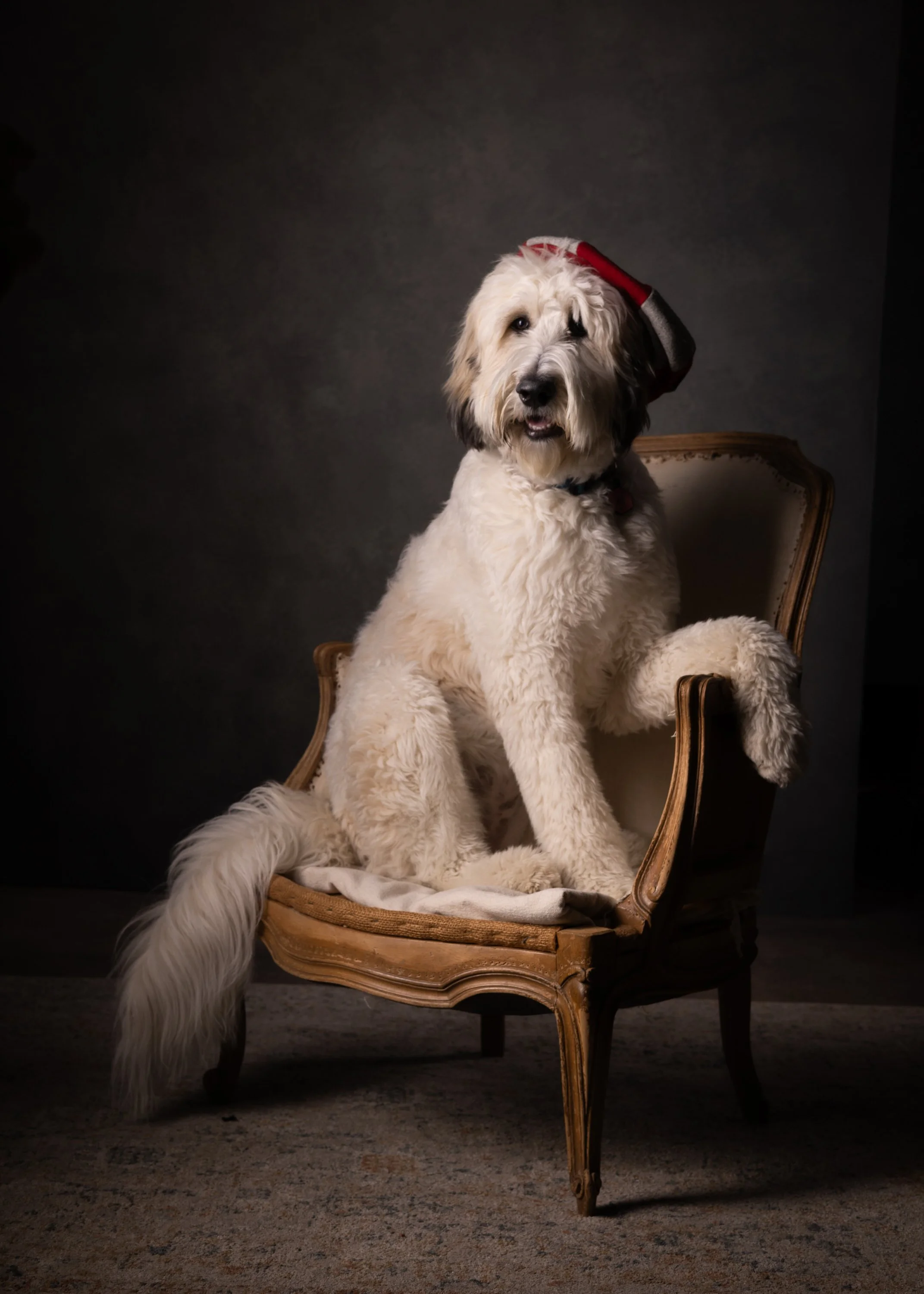mazie hat.jpg