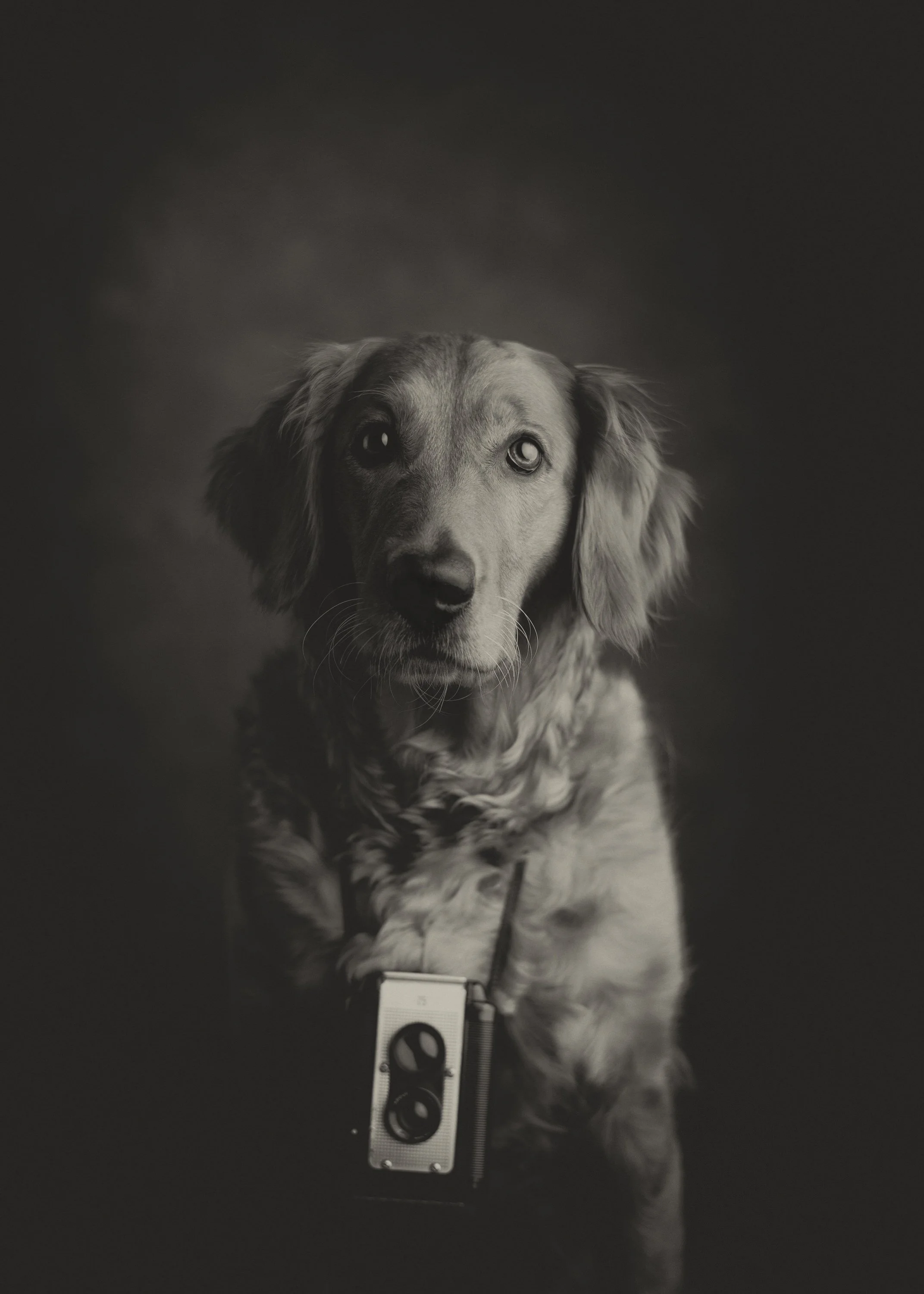 Annie Camera.jpg