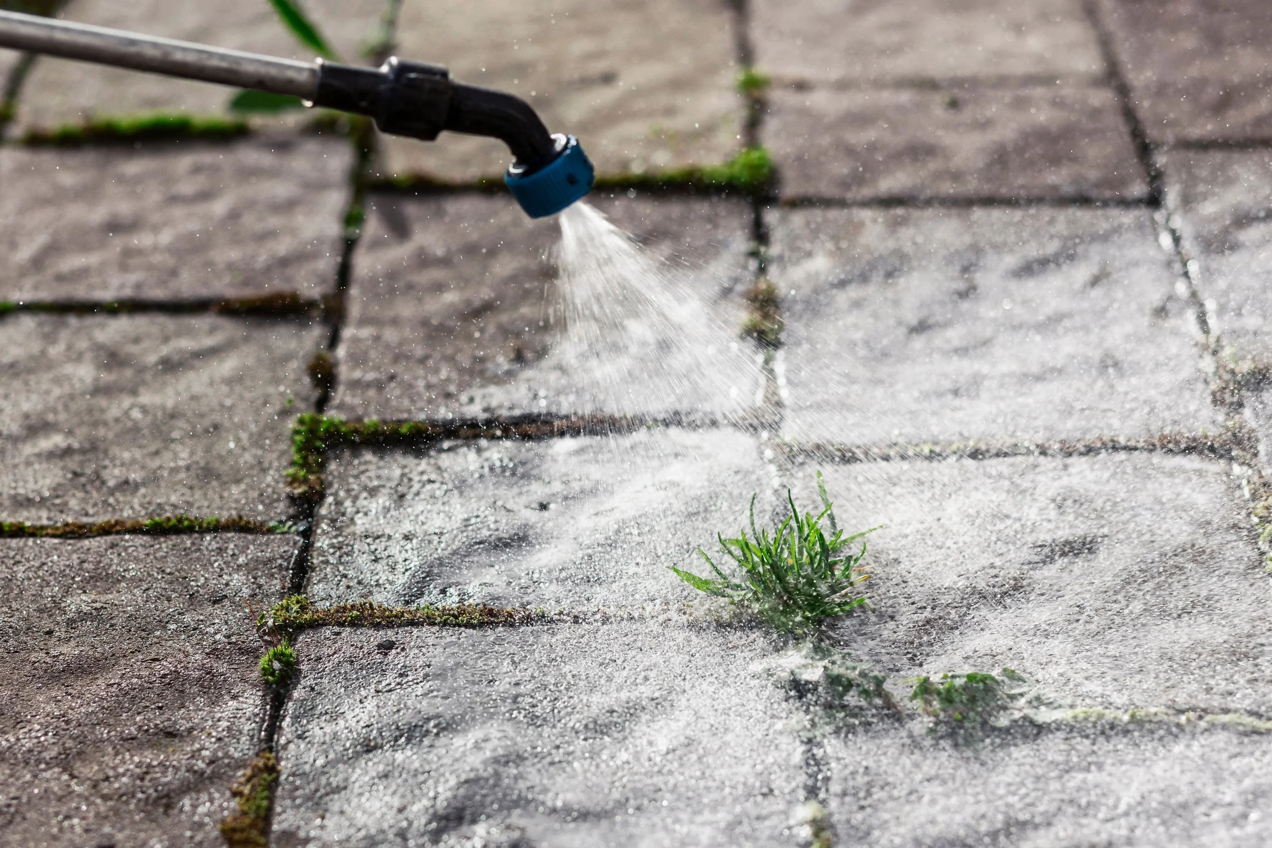 Weed sprayer spraying weeds in paver cracks in Herriman Utah