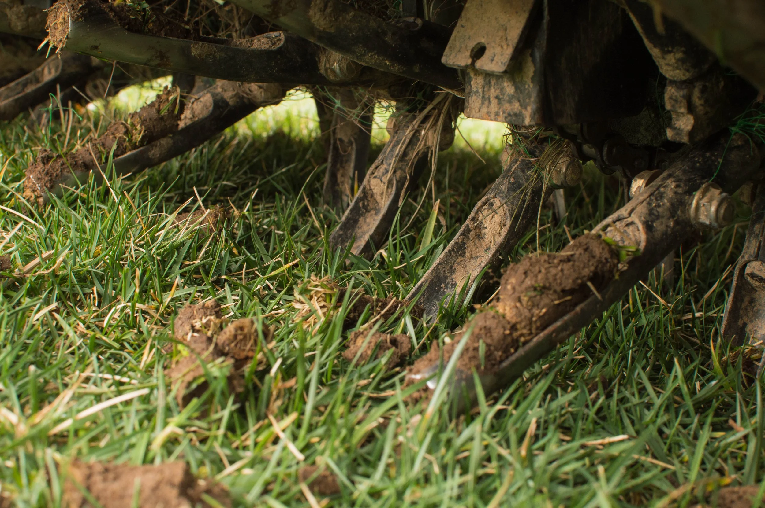Aerator machine aerating grass in Sandy Utah