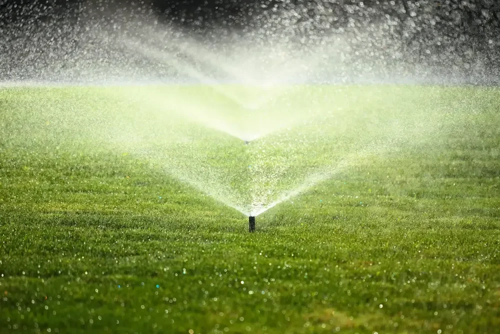 Sprinkler watering grass on a sunny day