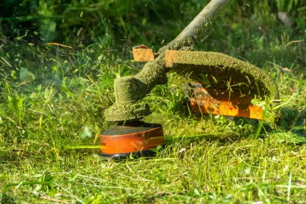 String trimmer cutting tall grass in South Jordan, Utah