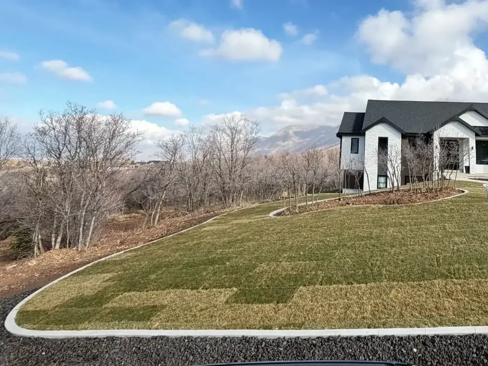 Modern Utah home with new lawn and curved landscape border