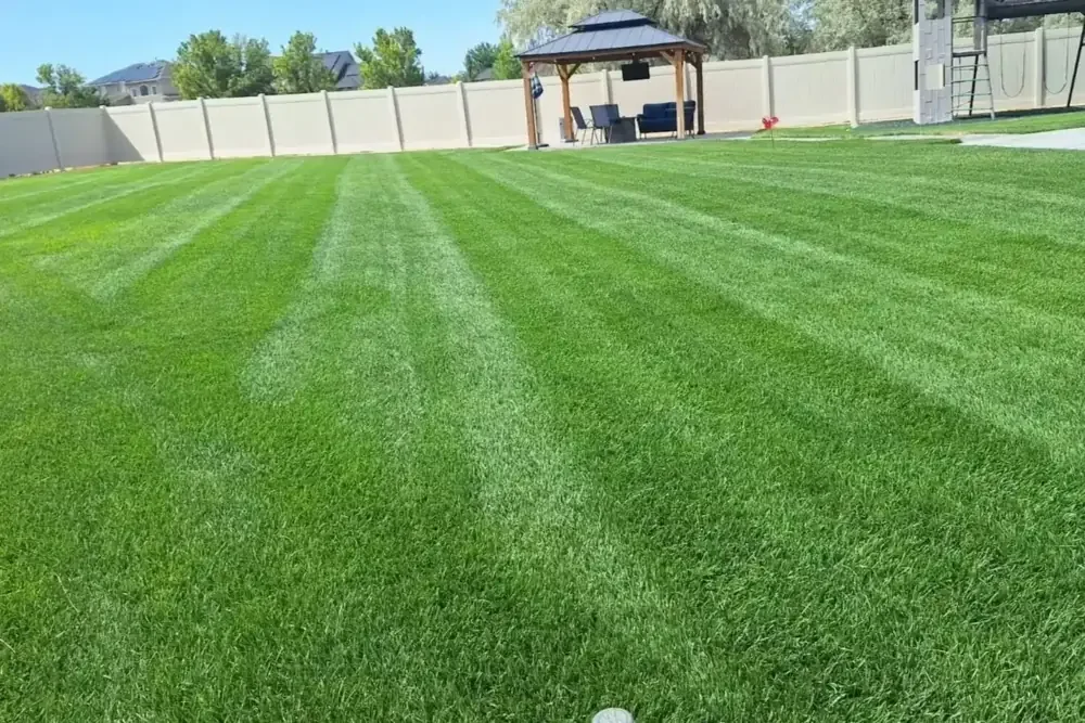 Freshly mowed striped backyard lawn in Riverton, Utah