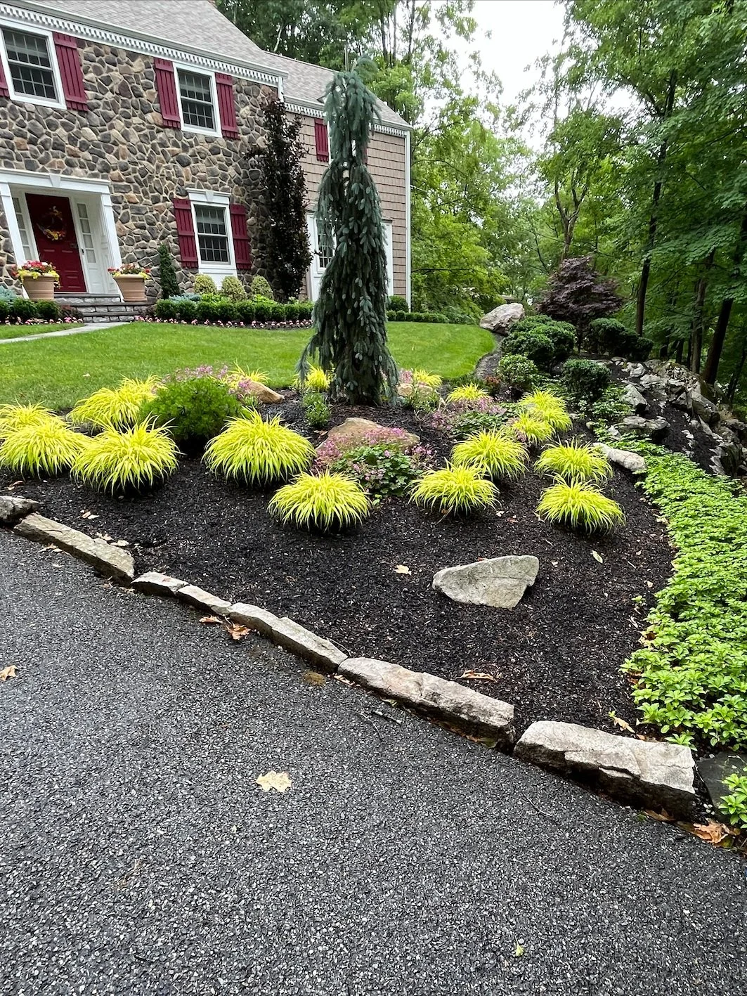 Screenshot 2025-02-26 at 4.04.40 PM.jpg