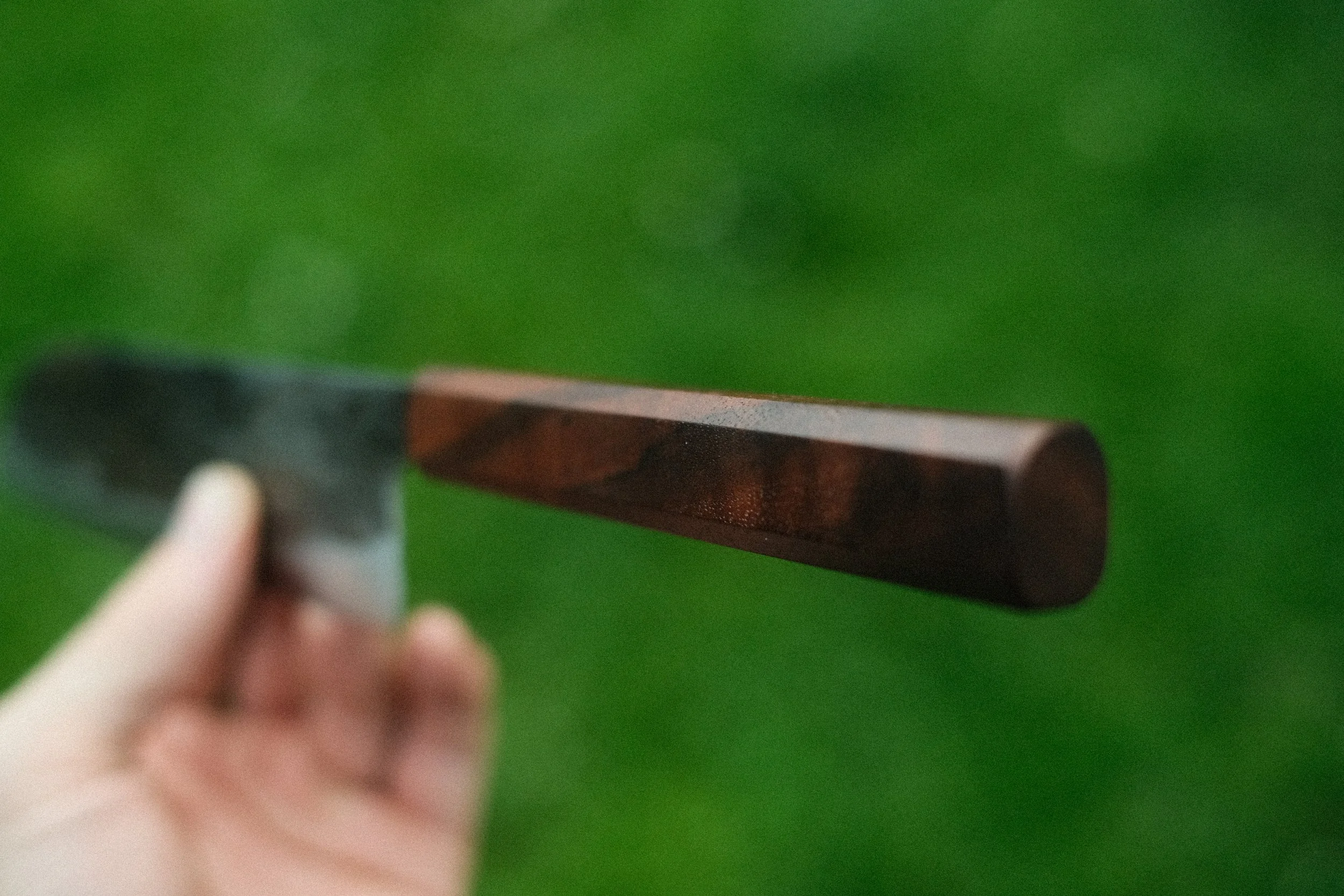 DSCF5905.JPG