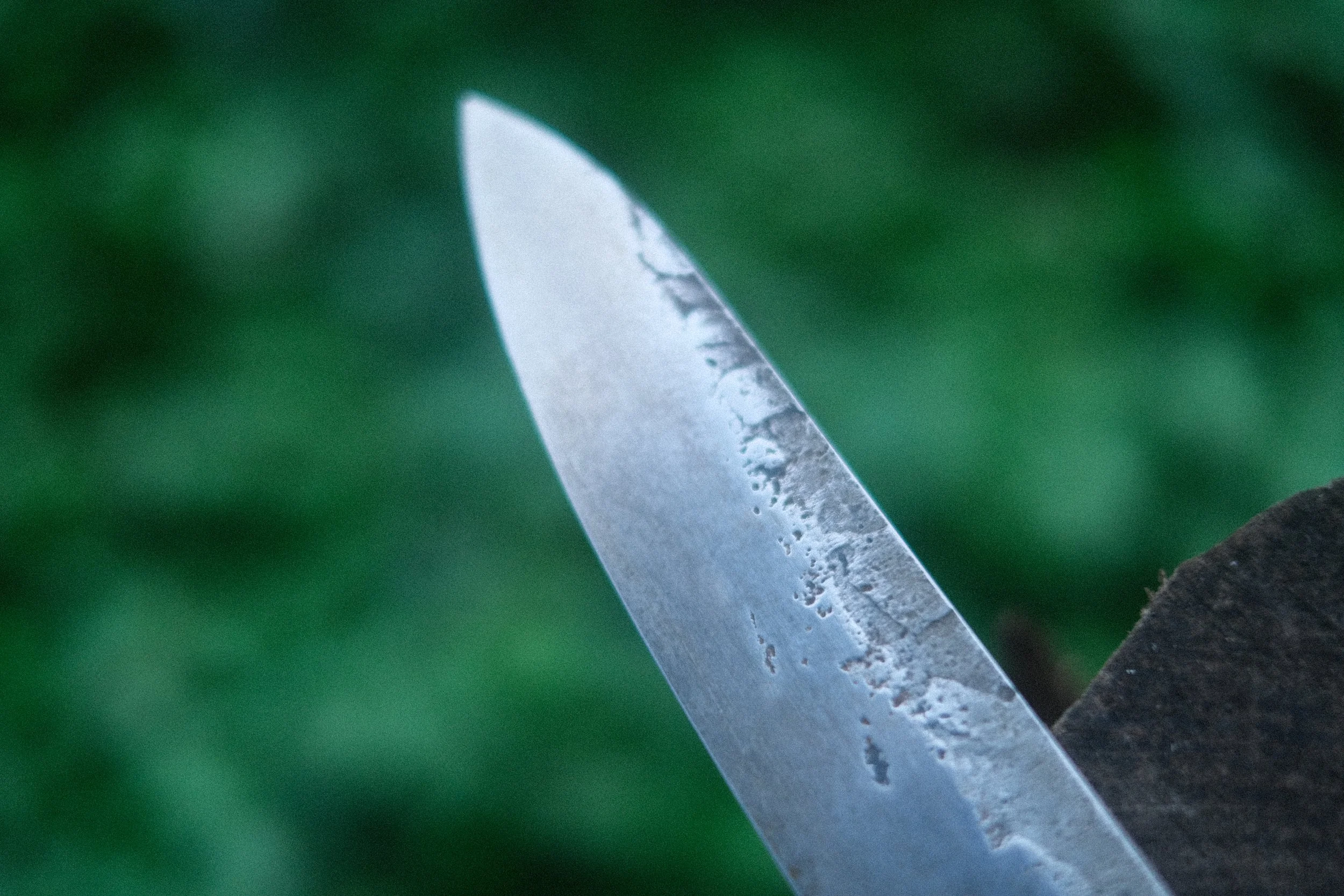 DSCF7448.JPG