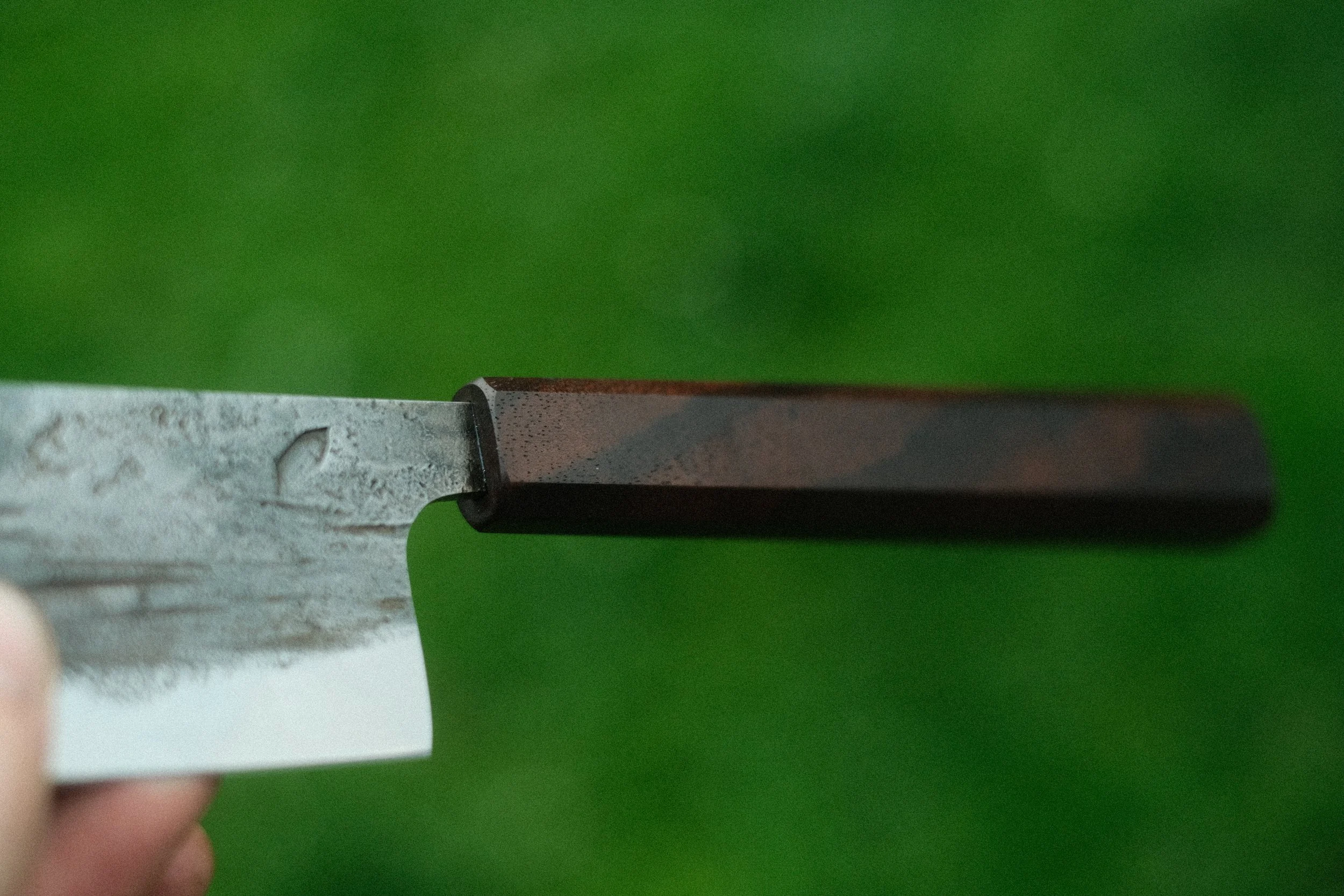 DSCF5904.JPG