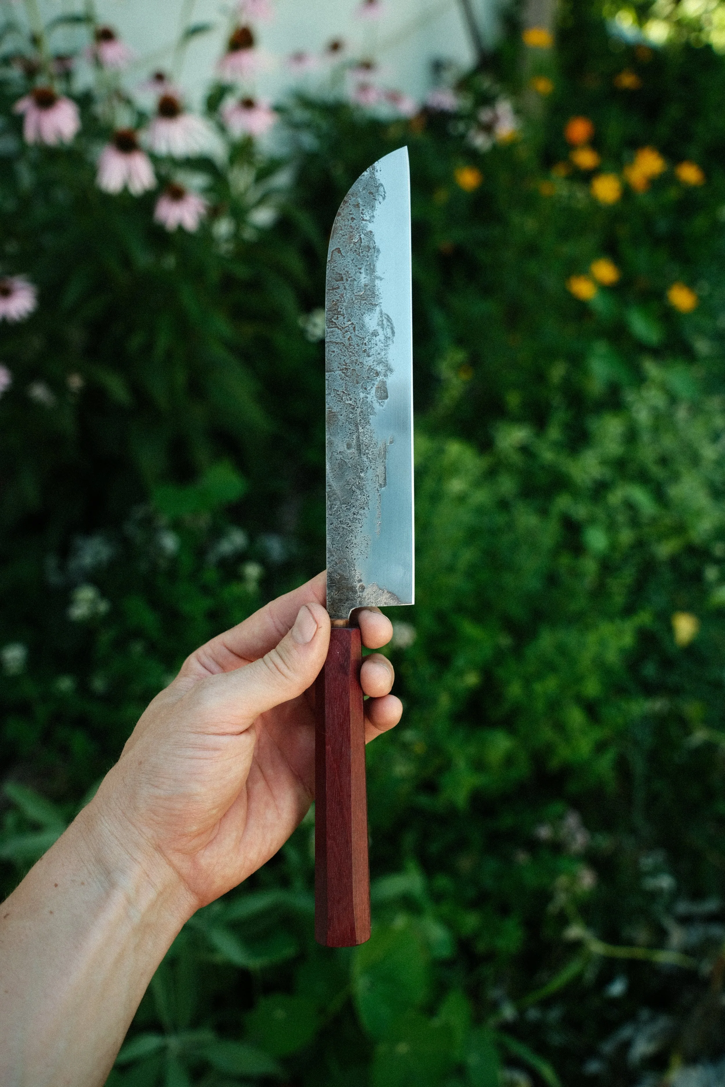 DSCF4526.JPG