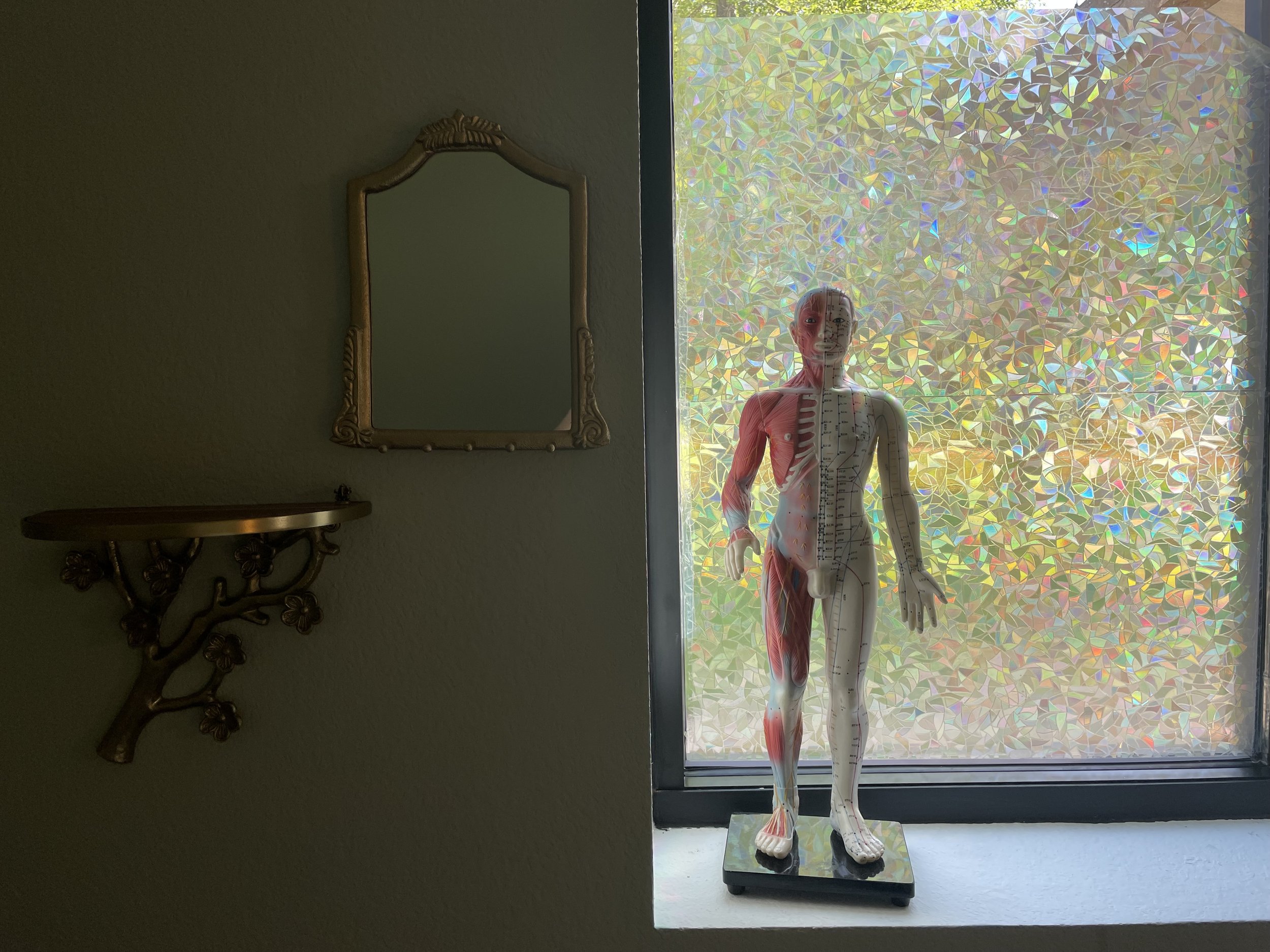 IMG_7230.jpeg