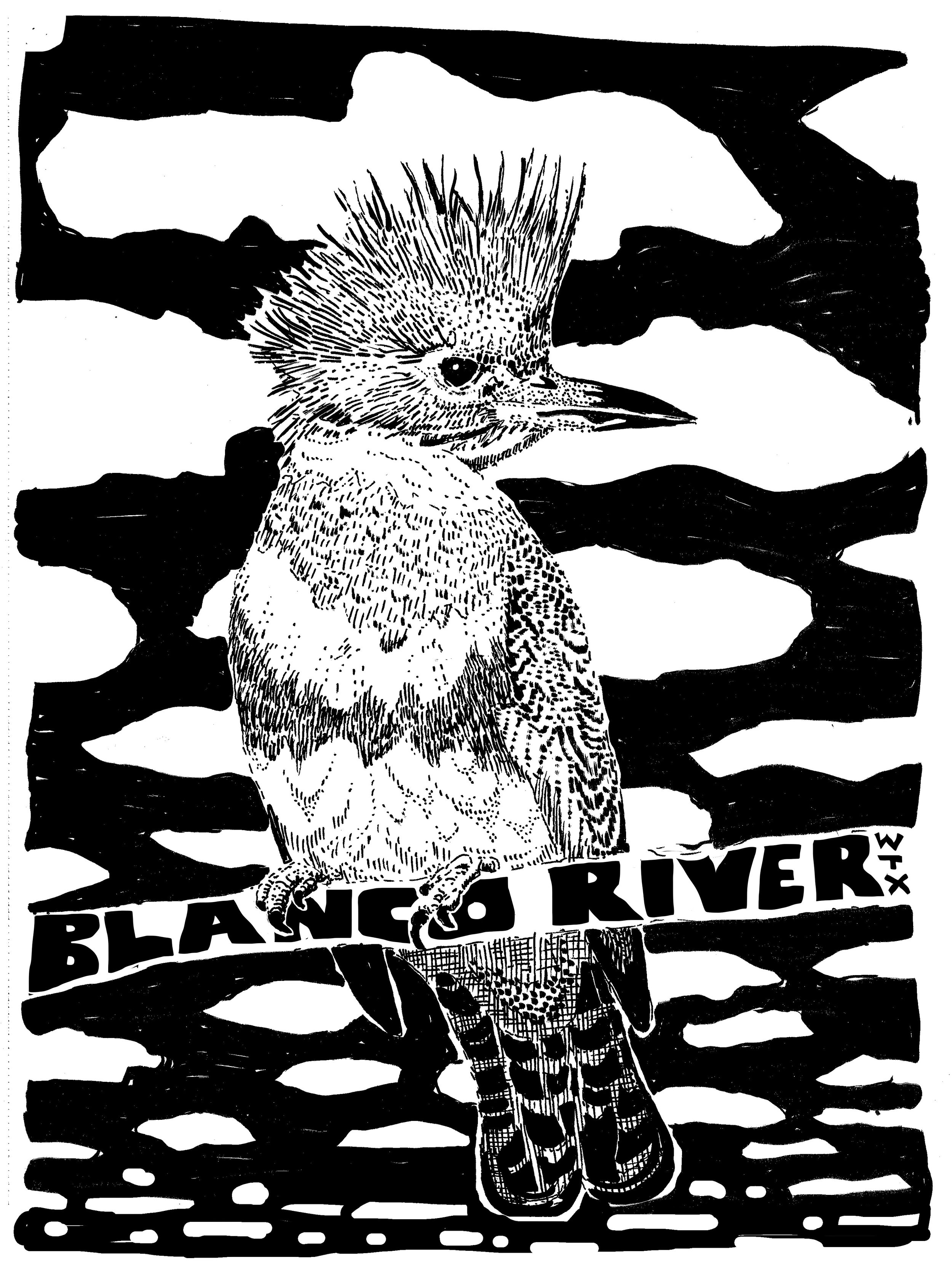 blanco-kingfisher.jpg