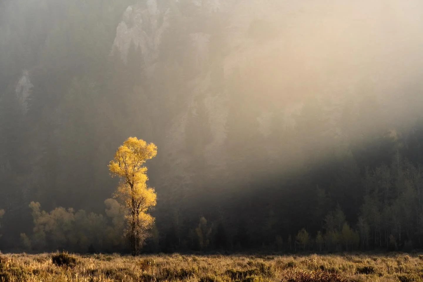 Throwback to last fall in the Tetons. The smoke was thick, and obscured some of our views and caused muddy sunsets. But the way the light cut through the haze to highlight small scenes was unforgettable. This quiet moment was one of my favorites from