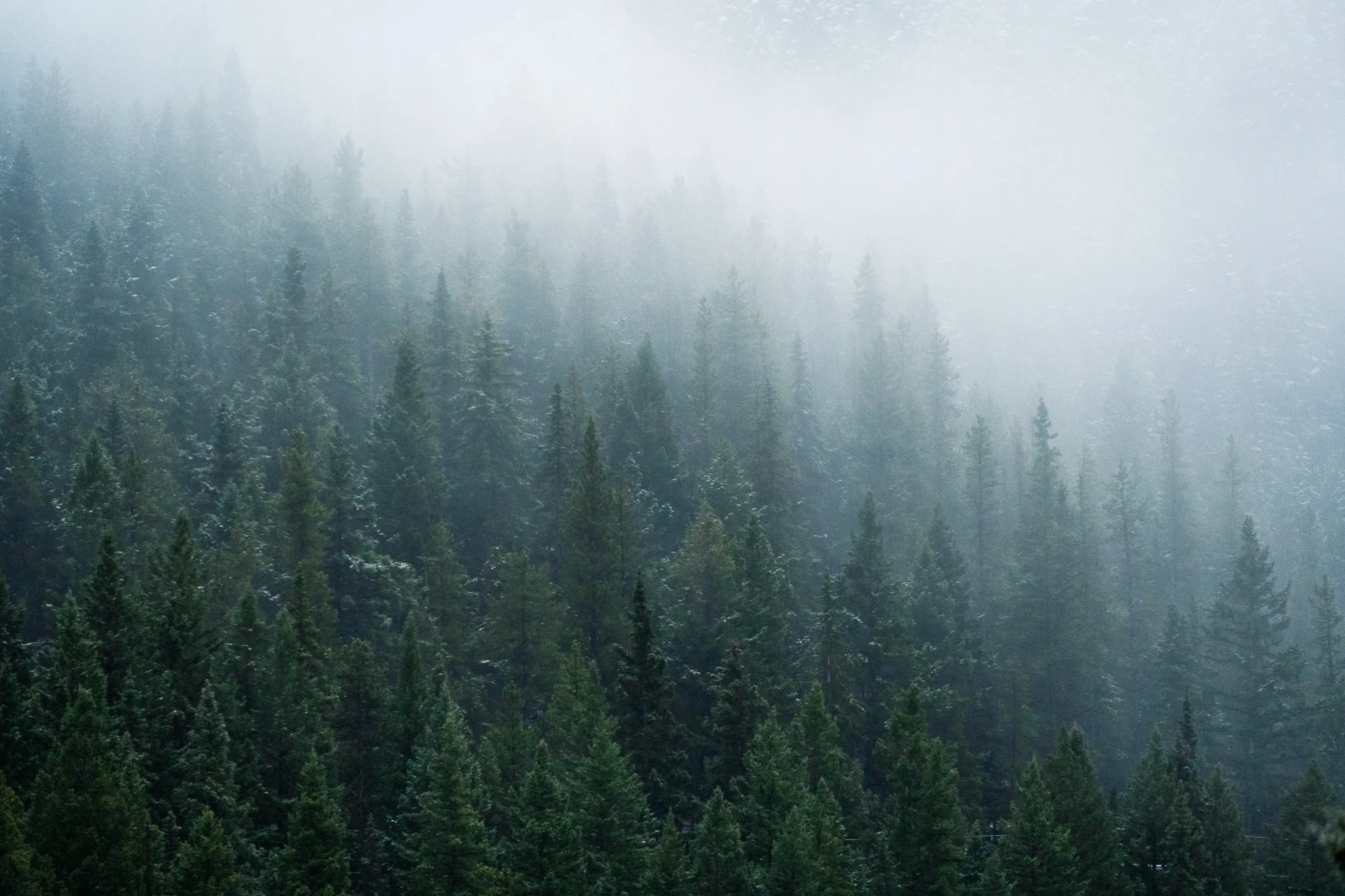 It's been a crazy weather weekend all across the country, and I'm grateful for our cozy house, a warm fire, some hot chocolate, and some games with my family. Stay safe and warm, everyone!

*taken with @nikonusa z7ii and 24-200 z lens (my favorite tr