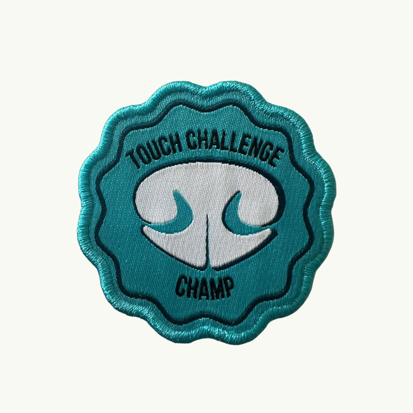 Patch Pic.png