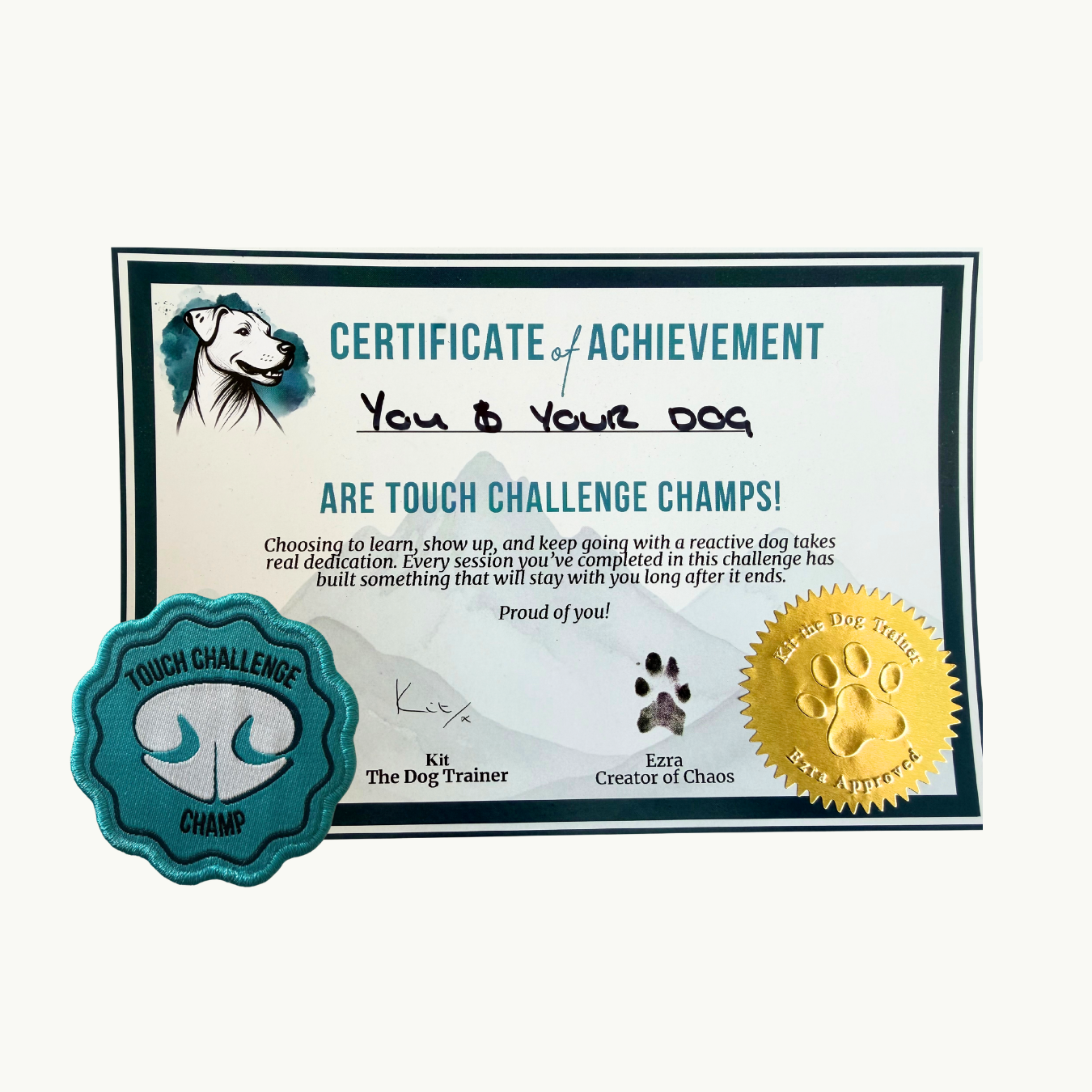 Certificate and Patch Pic.png