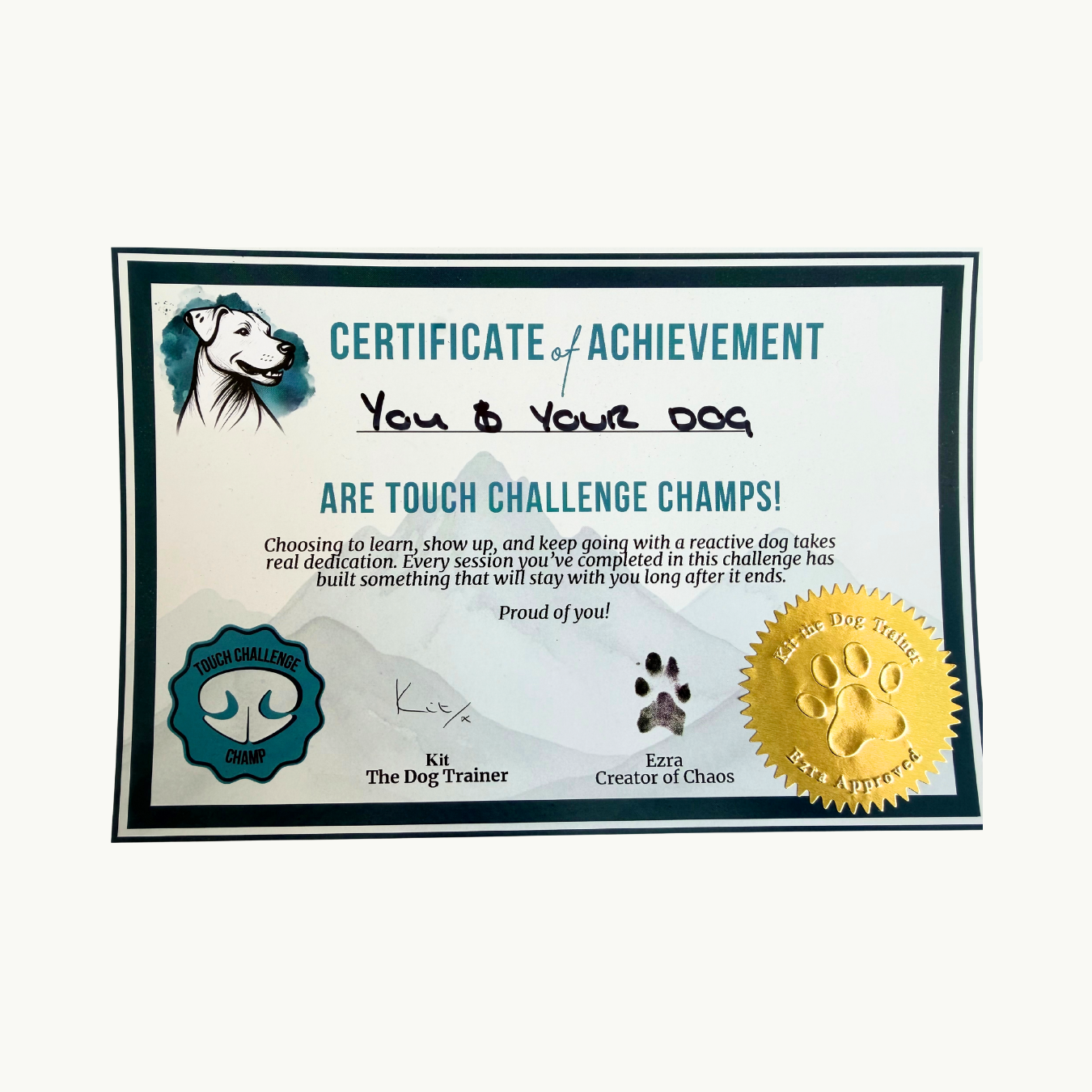 Certificate Pic.png
