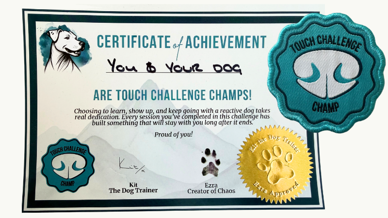 Touch Challenge Patch and Certificate