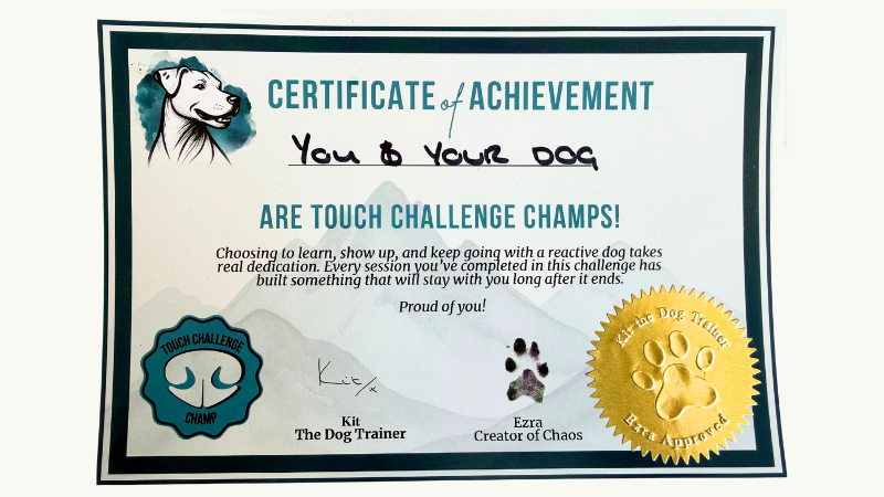 Certificate.png