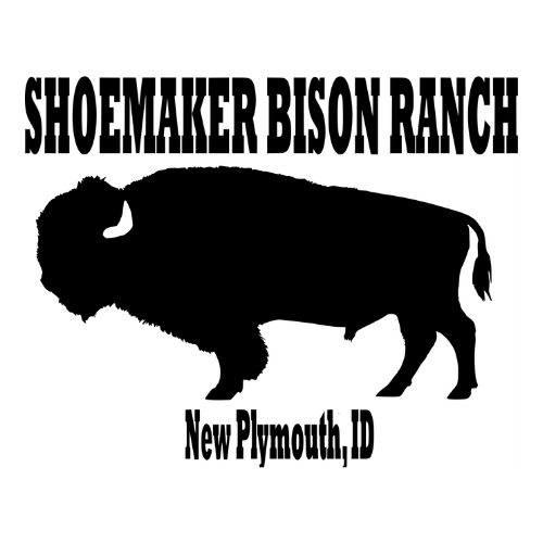 Whole Bison